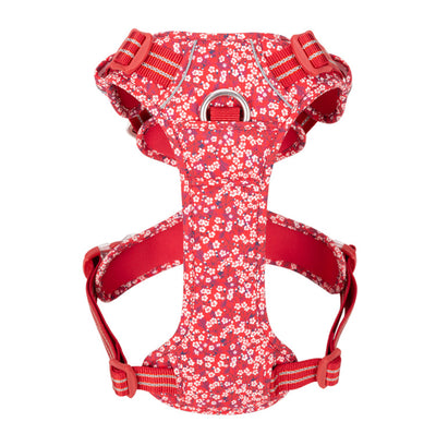 Arnés Pectoral para Perros con Diseño Floral - Tracción Resistente - Image 22