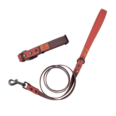 Correa de Tracción Retro para Perros - Image 20