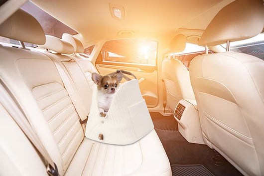 Bolsa de Transporte para Mascotas con Gran Capacidad - Image 47