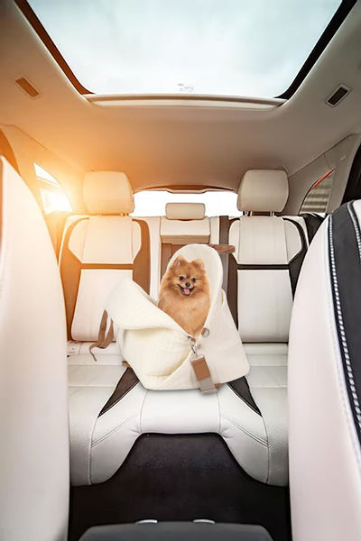 Bolsa de Transporte para Mascotas con Gran Capacidad - Image 85