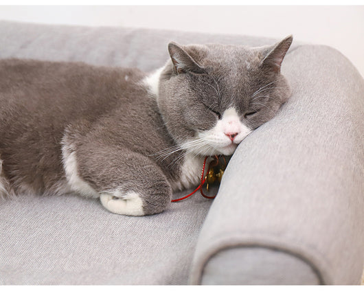 Nido Sofá para Mascotas con Funda de Lino Removible y Lavable - Image 16