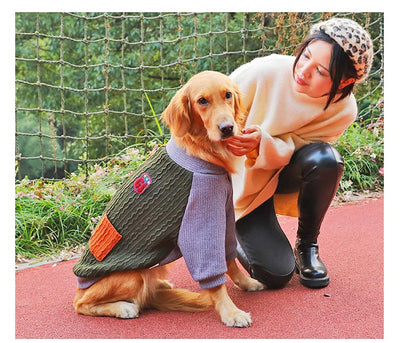 Suéter Térmico para Perros Grandes - Abrigo Invernal Grueso - Image 22