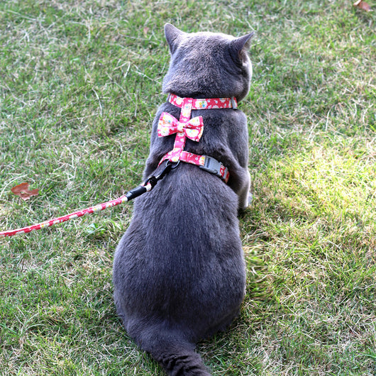 Correa para Gato con Diseño Floral y Estilo Japonés - Image 17