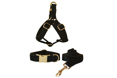 Arnés para Perro de Franela Negra con Hebilla Dorada - Image 12