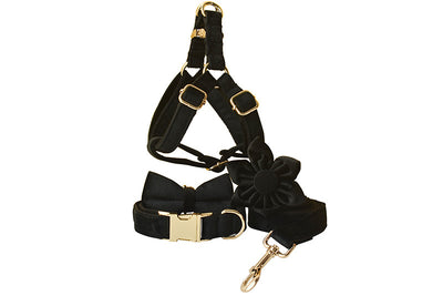 Arnés para Perro de Franela Negra con Hebilla Dorada - Image 13