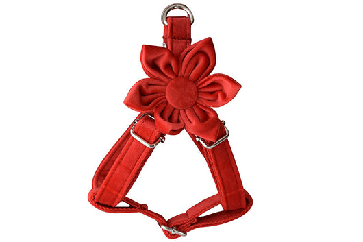 Arnés para Perro Rojo de Franela con Hebilla Dorada - Image 10