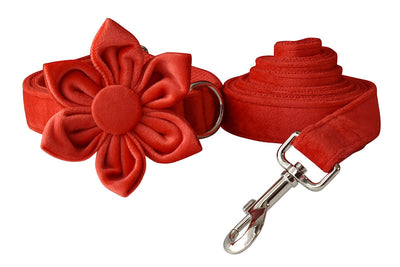 Arnés para Perro Rojo de Franela con Hebilla Dorada - Image 13