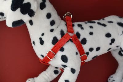 Arnés para Perro Rojo de Franela con Hebilla Dorada - Image 17