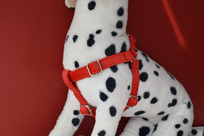 Arnés para Perro Rojo de Franela con Hebilla Dorada - Image 18
