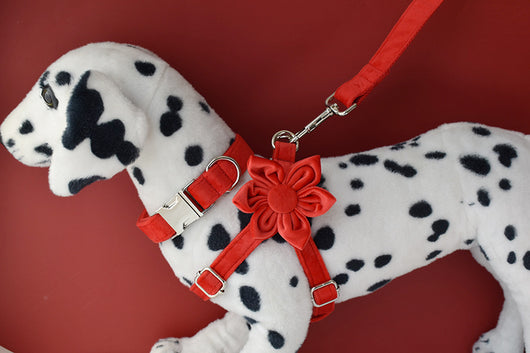Arnés para Perro Rojo de Franela con Hebilla Dorada - Image 20