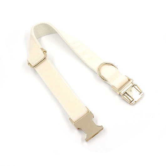 Collar para Perro Acolchado Crema con Hebilla Dorada - Image 17