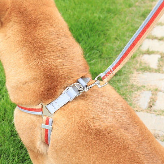 Arnés Reflectante para Mascotas Pequeñas y Medianas - Image 14