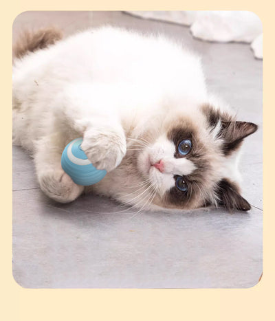 Juguete Interactivo Automático para Gatos - Pelota Rodante Inteligente - Image 12