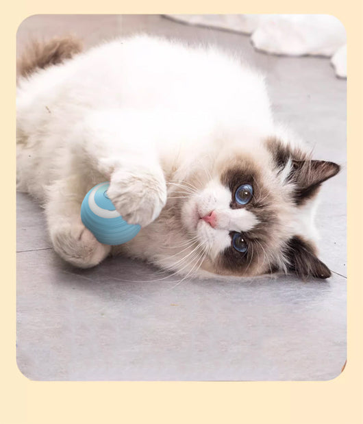 Juguete Interactivo Automático para Gatos - Pelota Rodante Inteligente - Image 12