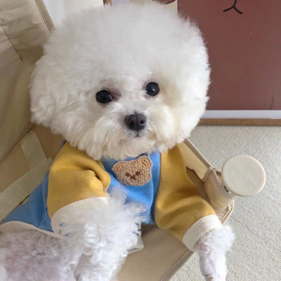 Suéter Coreano para Perros Poodle - Pullover Abrigado para Mascotas - Image 10