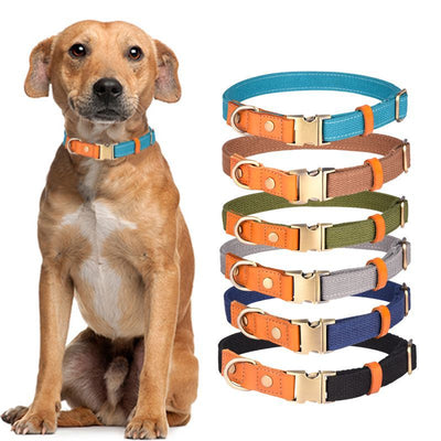 Collar de Cuero para Perro con Placa Antiextravío - Image 19