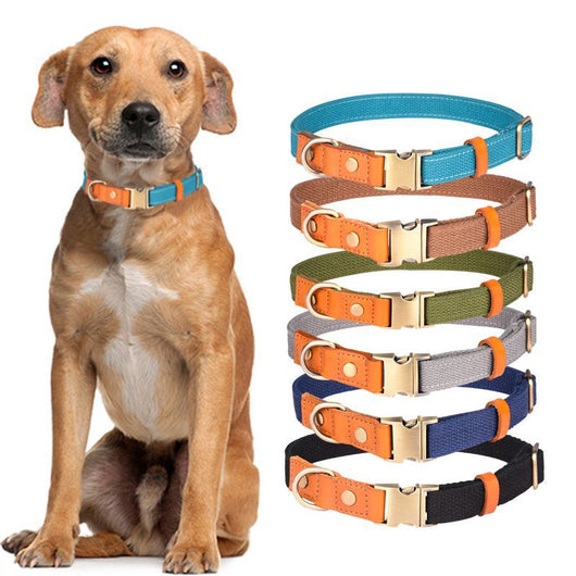Collar de Cuero para Perro con Placa Antiextravío - Image 19