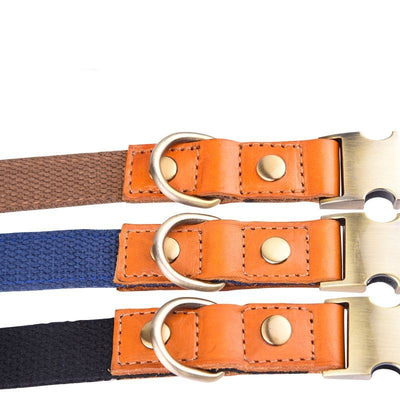 Collar de Cuero para Perro con Placa Antiextravío - Image 20