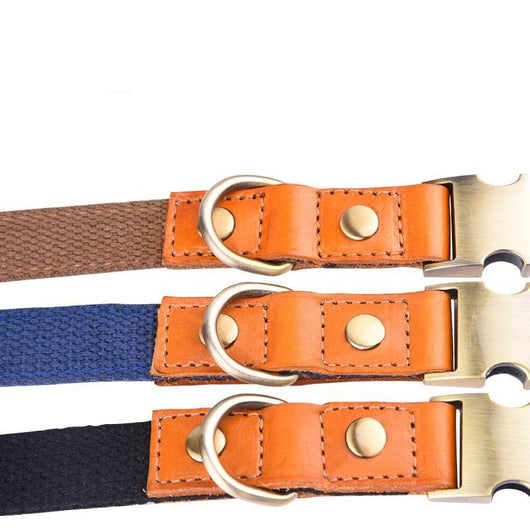 Collar de Cuero para Perros Anti-pérdida con Placa de Identificación - Image 22