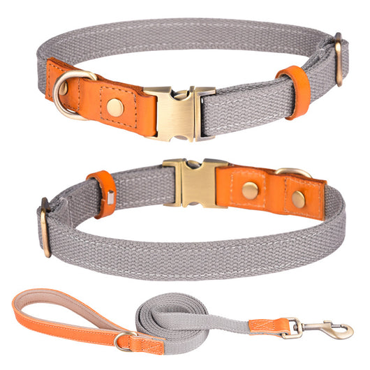 Collar de Cuero para Perro con Placa Antiextravío - Image 24