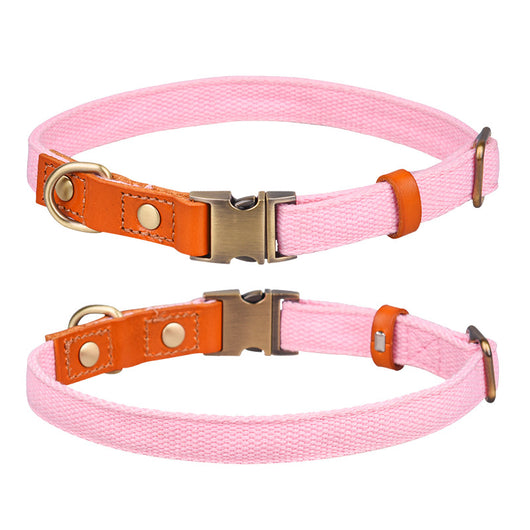 Collar de Cuero para Perro con Placa Antiextravío - Image 25