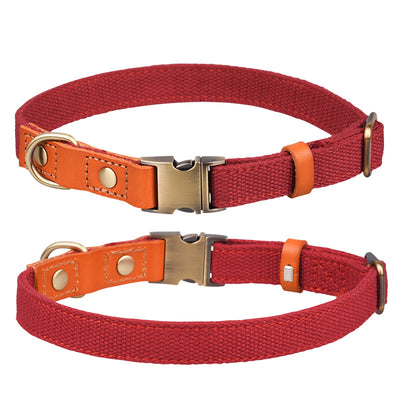 Collar de Cuero para Perro con Placa Antiextravío - Image 26