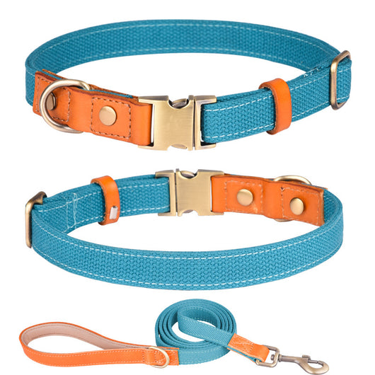 Collar de Cuero para Perros Anti-pérdida con Placa de Identificación - Image 29