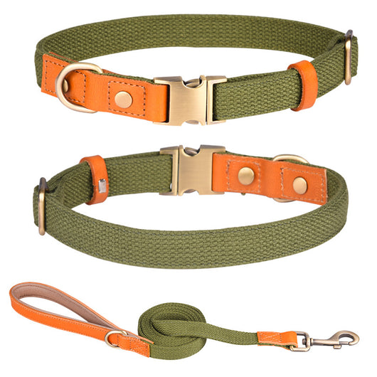 Collar de Cuero para Perro con Placa Antiextravío - Image 28