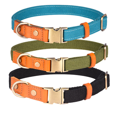 Collar de Cuero para Perro con Placa Antiextravío - Image 29