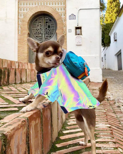 Ropa Reflectante Microcristalina para Perros - Image 7