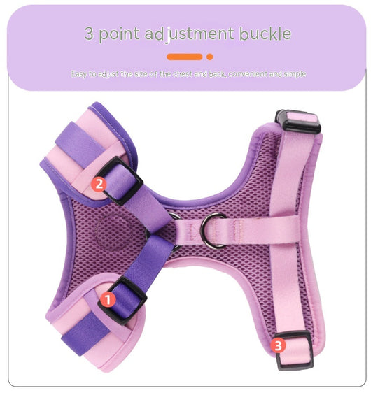 Arnés de Cuerpo con Correa Manual para Perros - Image 9