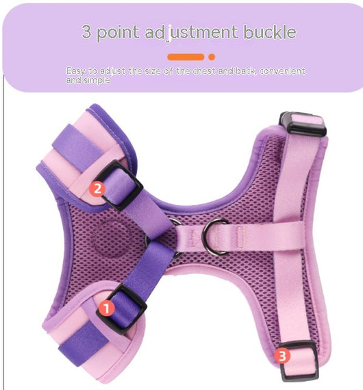 Arnés de Cuerpo con Correa Manual para Perros - Image 12