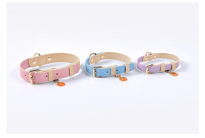 Juego de Collar y Correa para Perro en Cuero Premium - Image 21