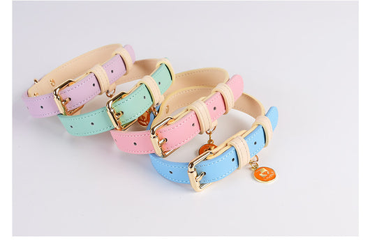 Juego de Collar y Correa para Perro en Cuero Premium - Image 22