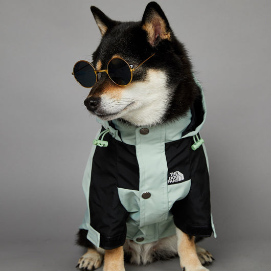 Impermeable para Perros Grandes Resistente al Viento y la Lluvia - Image 16