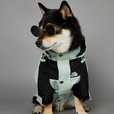 Impermeable para Perros Grandes Resistente al Viento y la Lluvia - Image 16