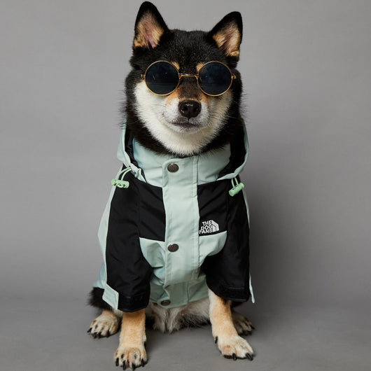 Impermeable para Perros Grandes Resistente al Viento y la Lluvia - Image 17