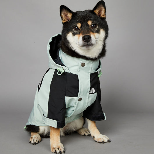 Impermeable para Perros Grandes Resistente al Viento y la Lluvia - Image 22
