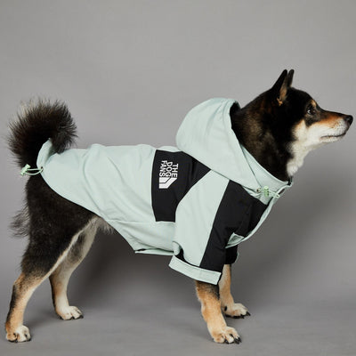 Impermeable para Perros Grandes Resistente al Viento y la Lluvia - Image 23