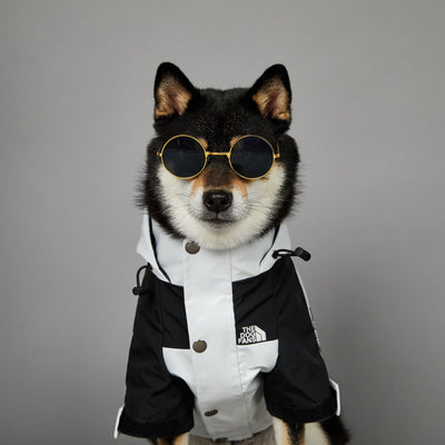 Impermeable para Perros Grandes Resistente al Viento y la Lluvia - Image 24