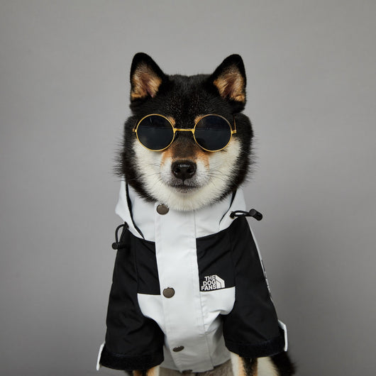 Impermeable para Perros Grandes Resistente al Viento y la Lluvia - Image 24