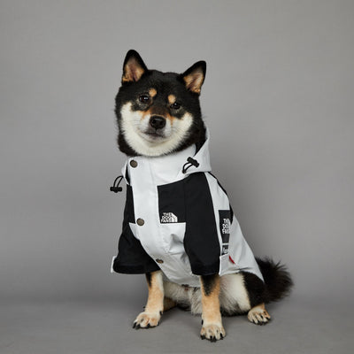 Impermeable para Perros Grandes Resistente al Viento y la Lluvia - Image 27