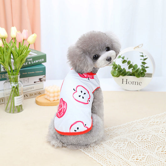 Ropa de Disfraz para Mascotas Primavera Verano - Image 11