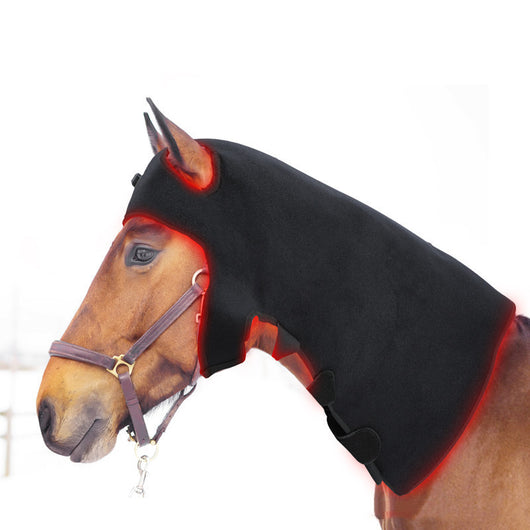 Dispositivo de Terapia Infrarroja para Mascotas - Image 7