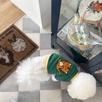 Suéter Teddy para Gatos y Mascotas Pequeñas Bixin - Image 11