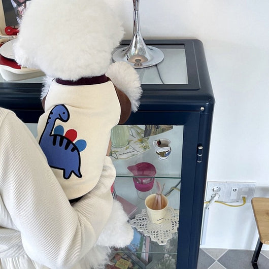 Suéter Teddy para Gatos y Mascotas Pequeñas Bixin - Image 14