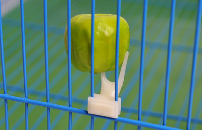 White plastic bird fruit fork clipped onto blue birdcage bars, designed to hold fruit or vegetables for pet birds. - Image 16