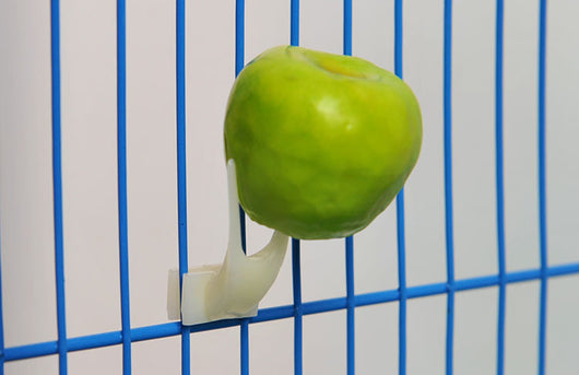 White plastic bird fruit fork clipped onto blue birdcage bars, designed to hold fruit or vegetables for pet birds. - Image 17