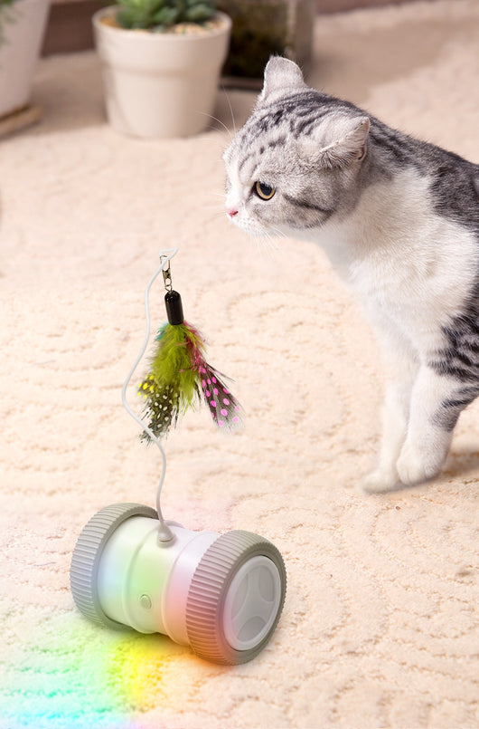 Automatic cat teasing toy with a white roller base and gray wheels, featuring a colorful feather attachment. - Image 12