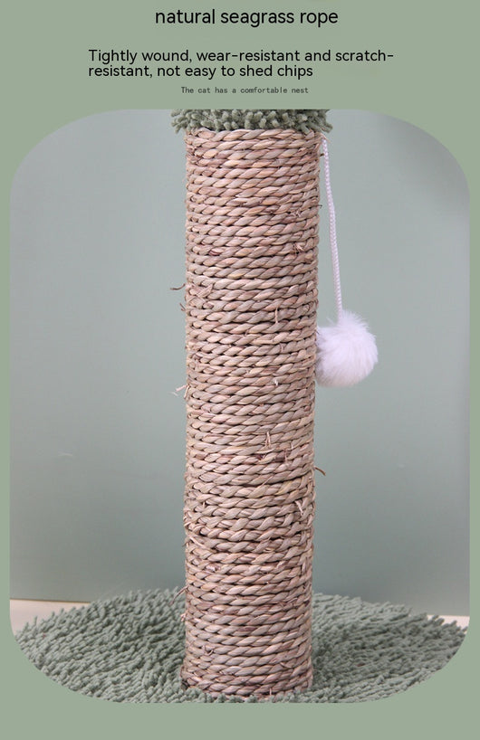 Rascador Árbol de Sisal para Gatos con Diseño de Cactus - Image 7